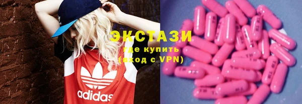 дмт Тайга