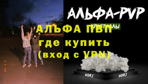 дмт Тайга
