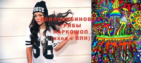 хмурый Белокуриха