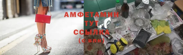 хмурый Белокуриха