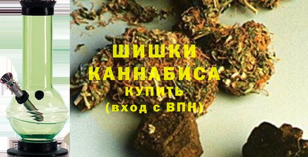 хмурый Белокуриха