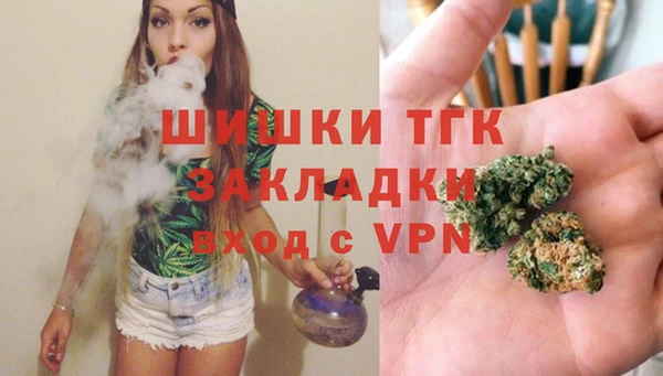 хмурый Белокуриха