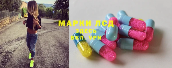 хмурый Белокуриха