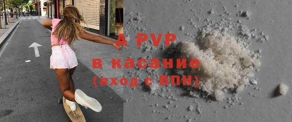 хмурый Белокуриха