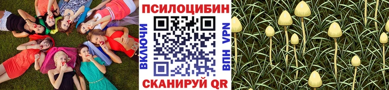 где продают   Гай  hydra маркетплейс  Галлюциногенные грибы Psilocybe 