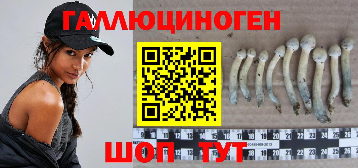 Псилоцибиновые грибы Psilocybine cubensis Гай