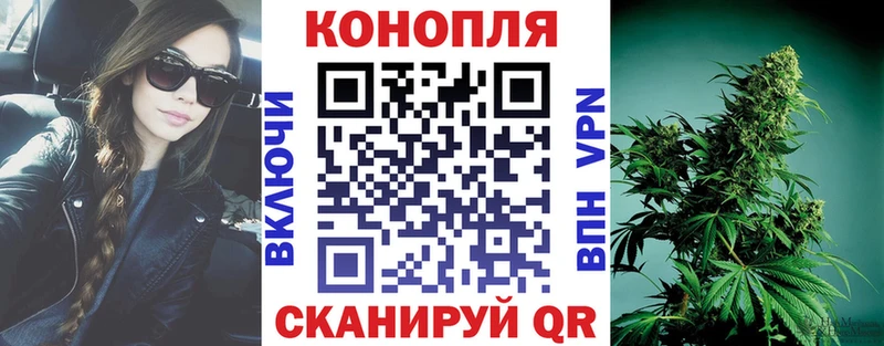 Бошки Шишки ГИДРОПОН  Гай 