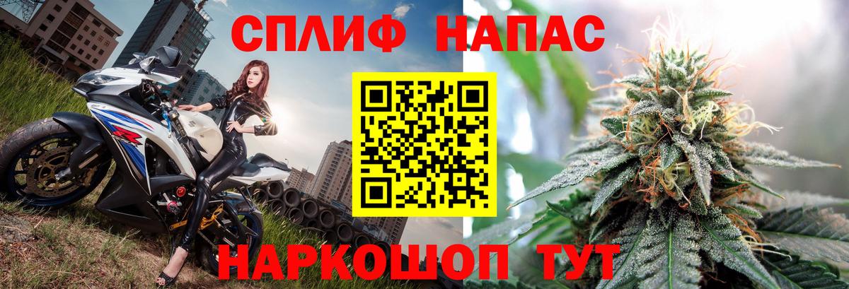 Каннабис MAZAR Гай